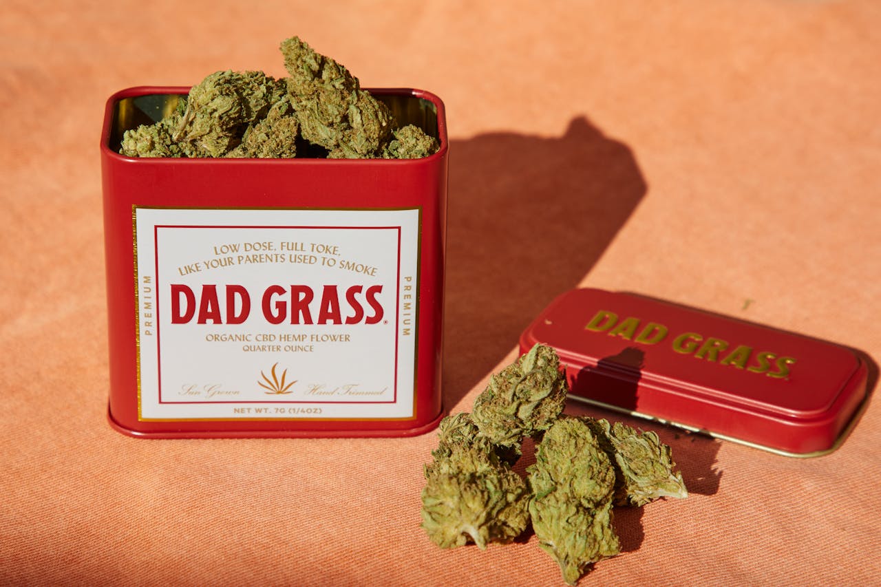 Close-up of Dad Grass CBD hemp buds in a tin can with lid on an orange surface.